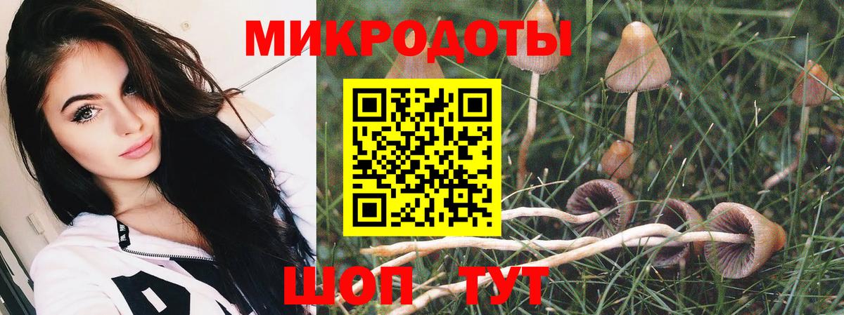 Псилоцибиновые грибы мицелий  Псилоцибиновые грибы прущие грибы  Вход с VPN  Феодосия 
